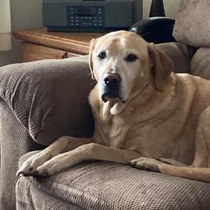 Meet your Posher, Paul